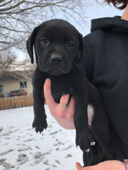 LUCY
