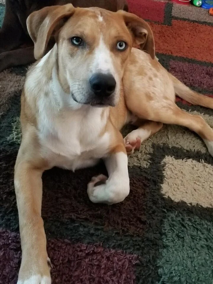 BEAU