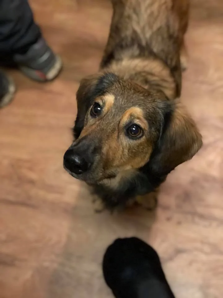 BAXTER