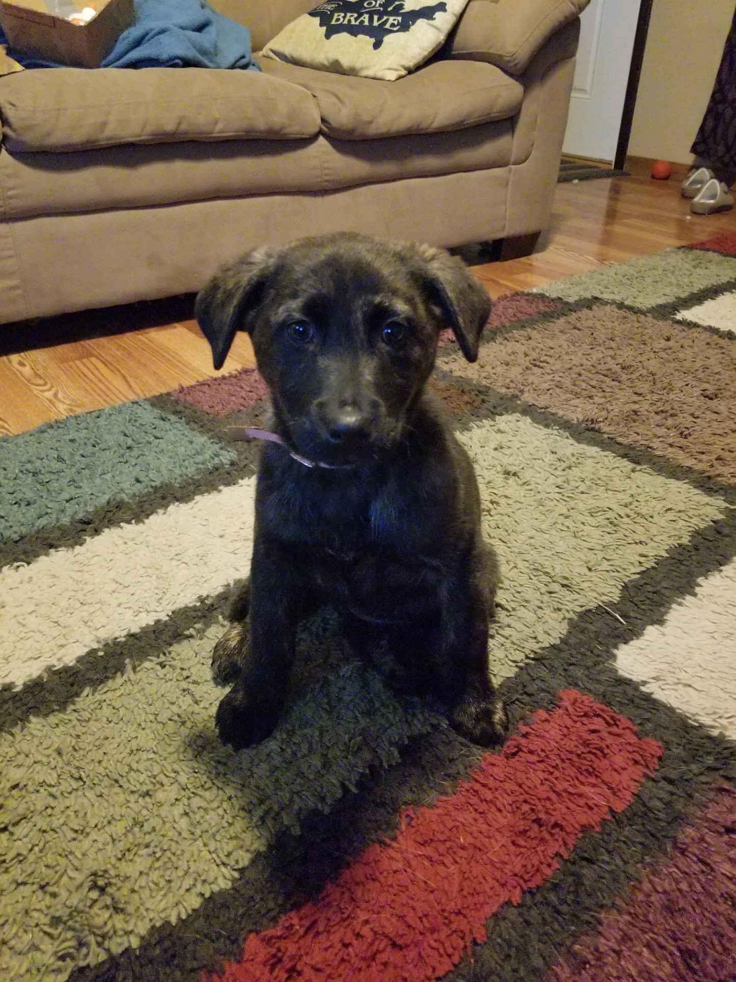 CHEYENNE