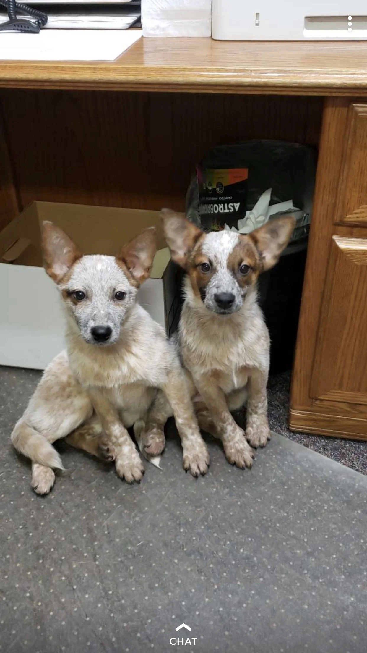 RUE & RIO