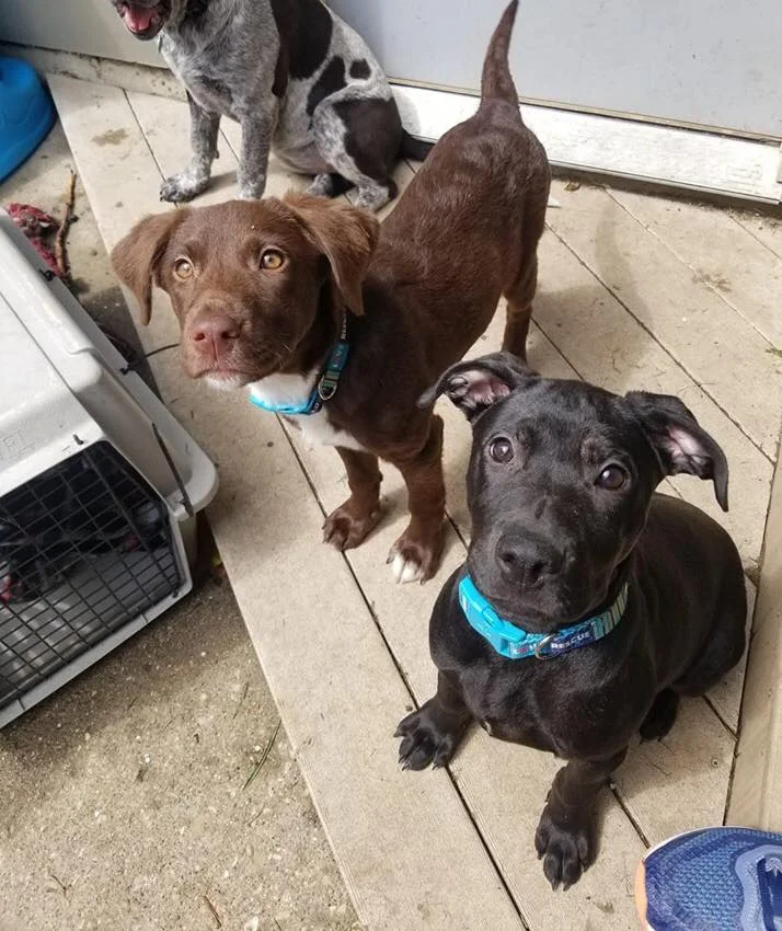 MOCHA & EMMA