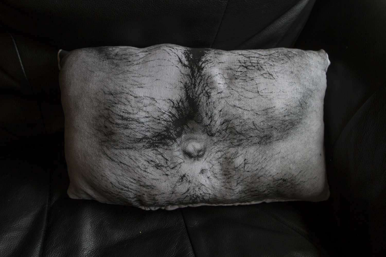 Belly Pillow, 2012, screenprint on fabric