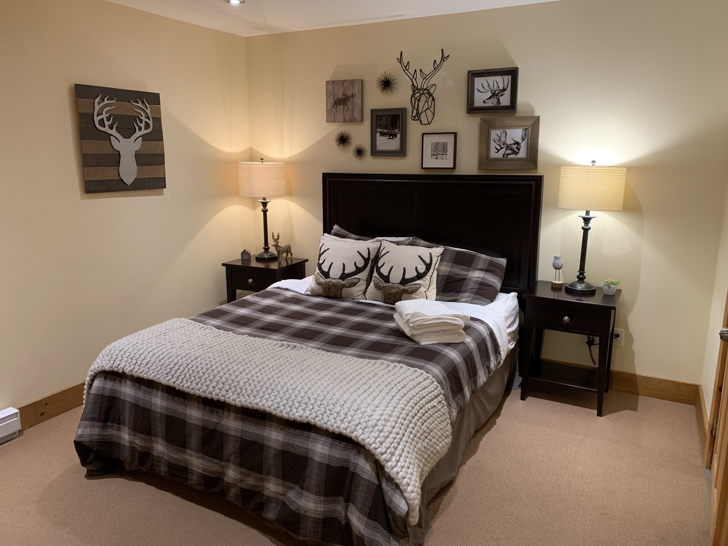 Downstairs Deer Room.jpeg
