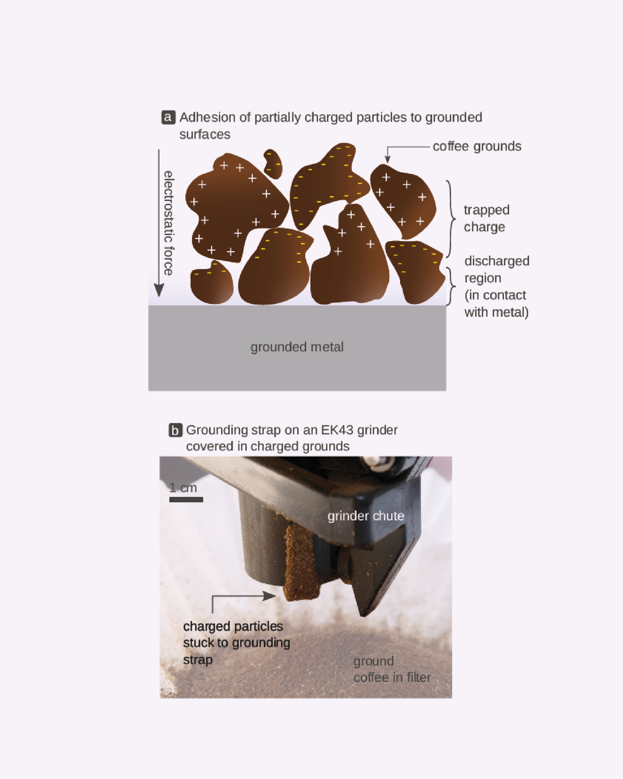 It's Electric: Understanding—and Reducing—Static Electricity During Grinding  | 25, Issue 21 — Specialty Coffee Association