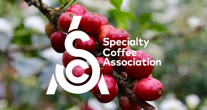 New SCA Certified Home Brewer: Café Specialty Grind and Brew Coffee Maker —  Specialty Coffee Association
