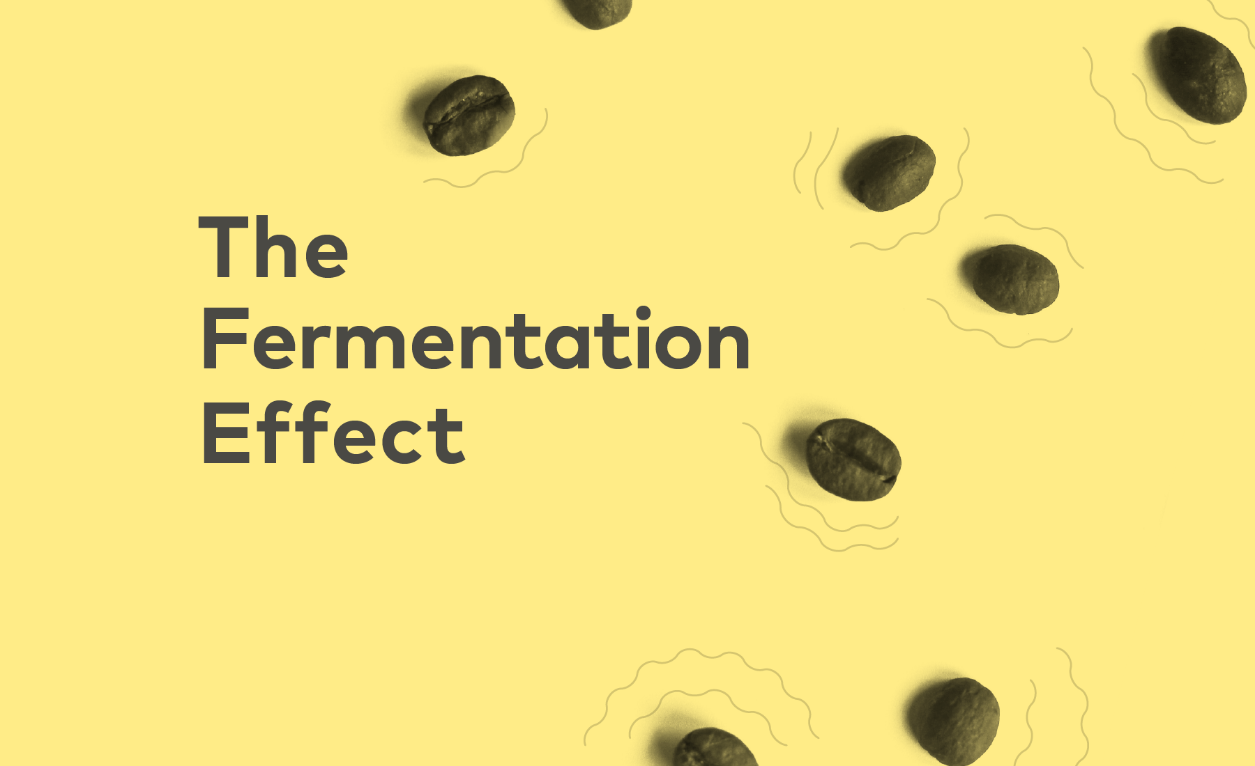 The Fermentation Effect - 25 Magazine, Issue 10 — Specialty Coffee  Association