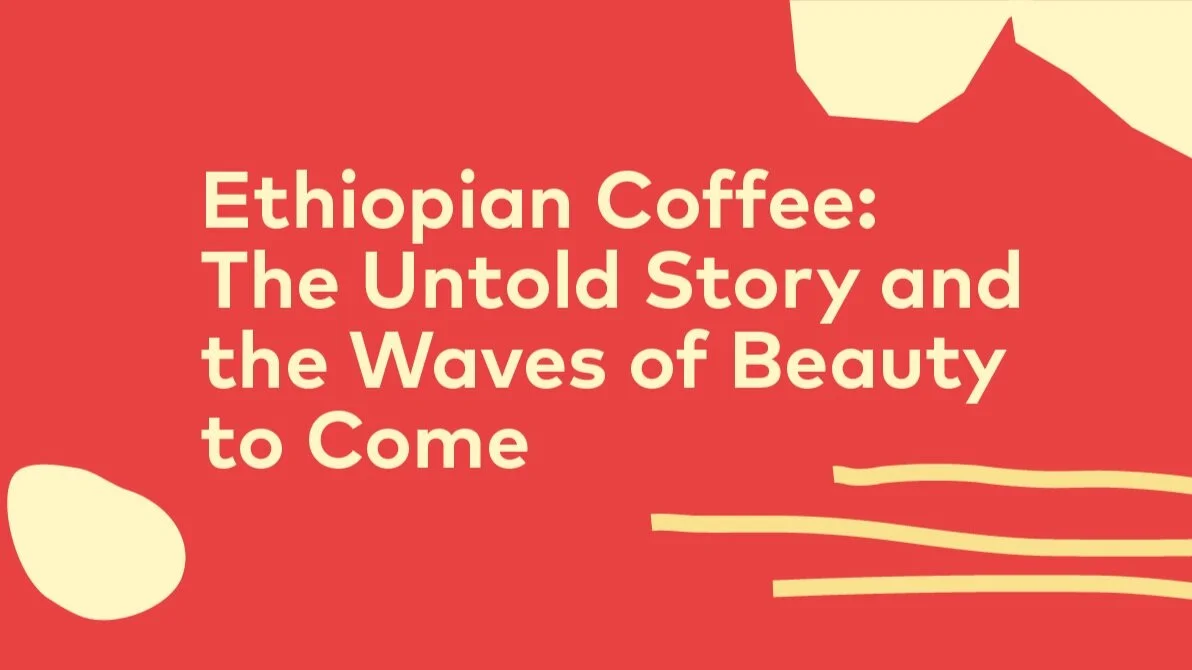 25.13-SpotlightSCA News-Post.png