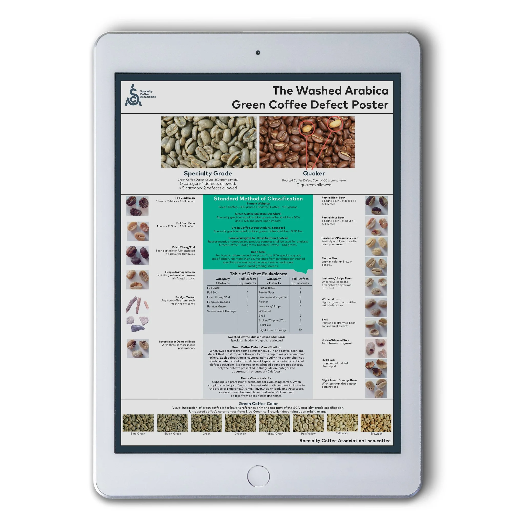 Green Arabica Coffee Classification System