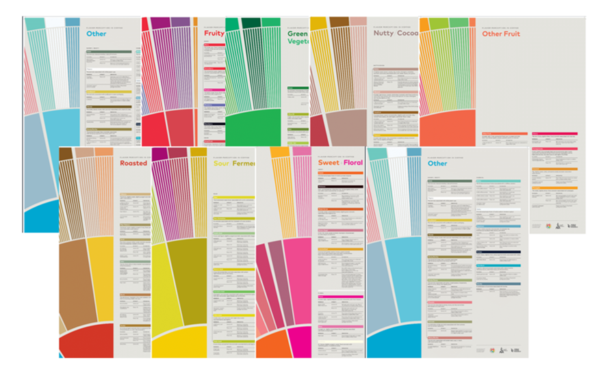 Flavor Perception in Coffee – Full Set