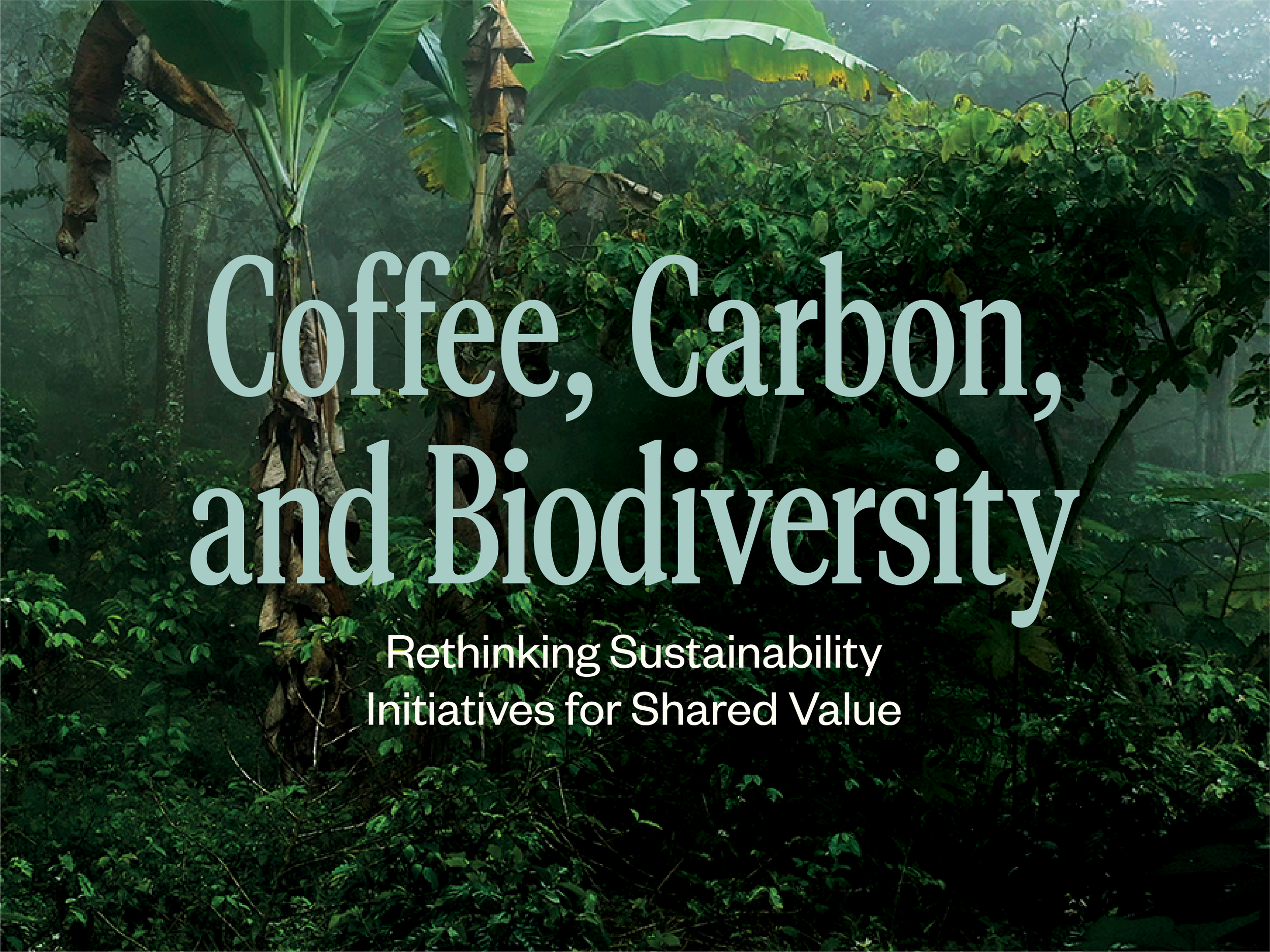 Coffee, Carbon and Biodiversity: Rethinking Sustainability Initiatives for Shared Value | 25, Issue 25 