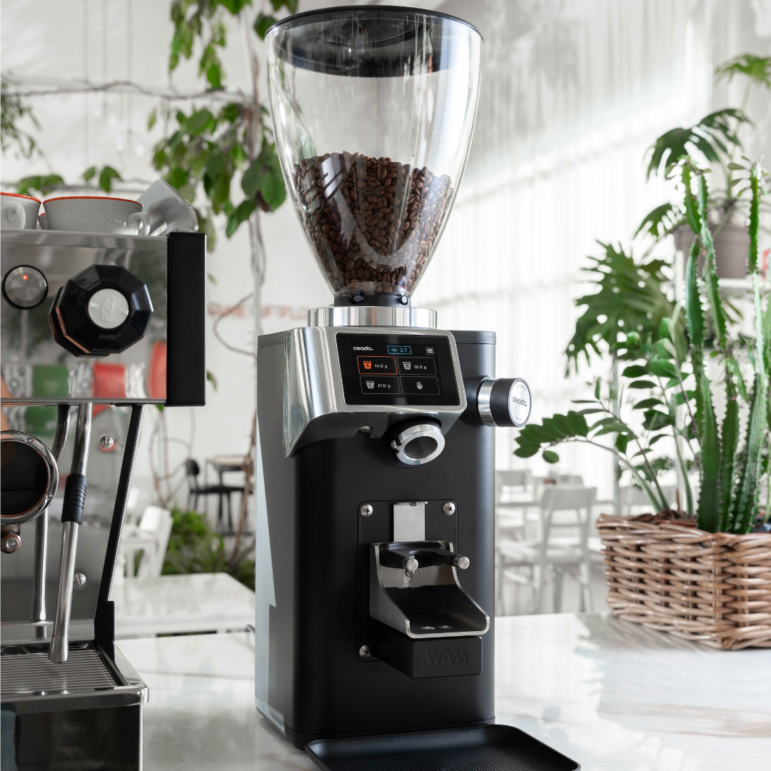 Designing Flavor: Why the Grinder Is Becoming Coffee’s Most Critical Brewing Tool&nbsp;