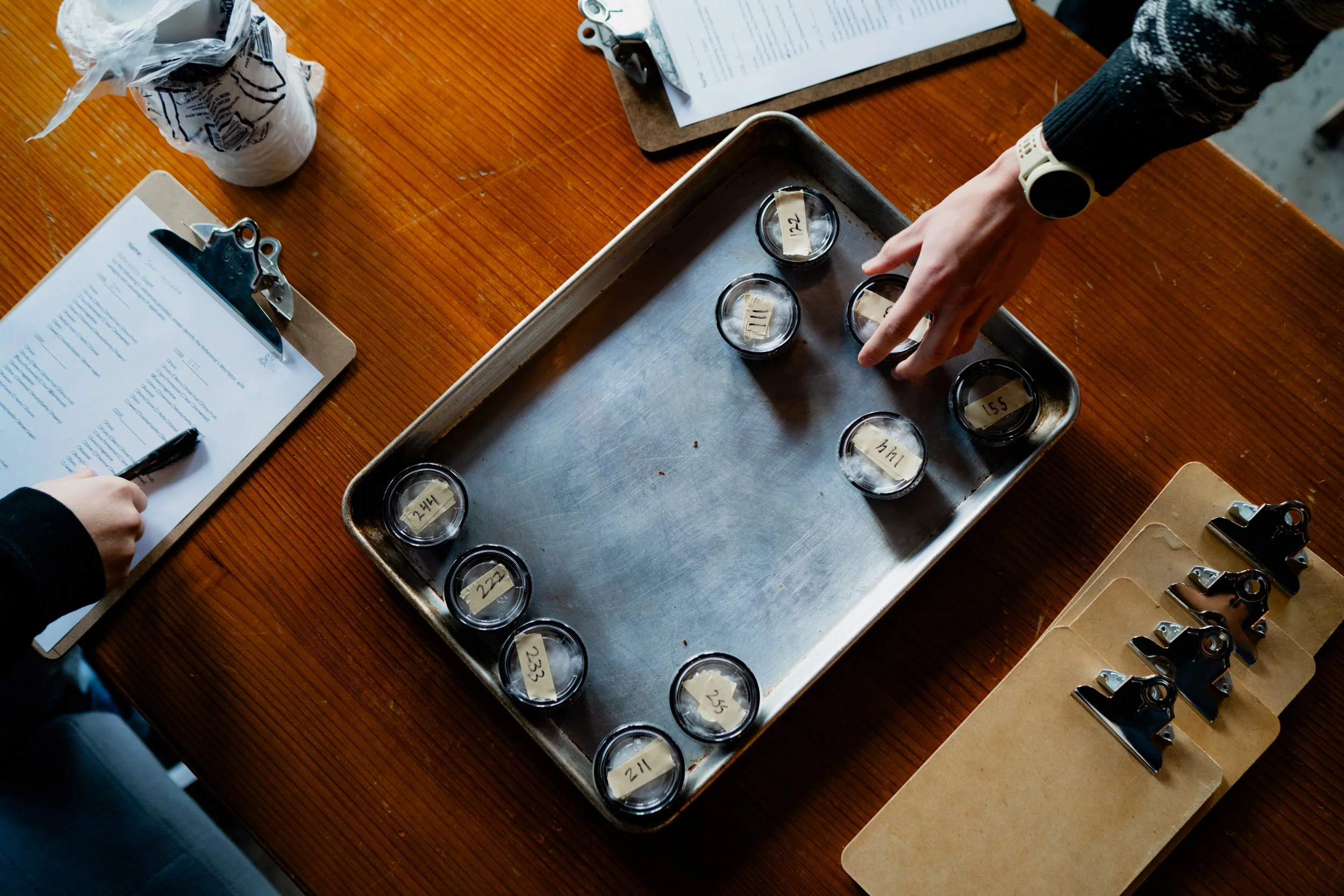 CVA In Action: Discover the Descriptive Assessment — Specialty Coffee ...