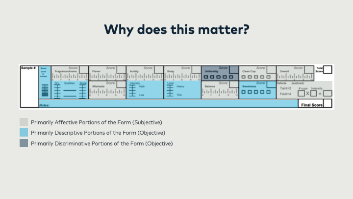 Evolving the SCA Cupping Protocol and Form: An Overview of the Pilot ...