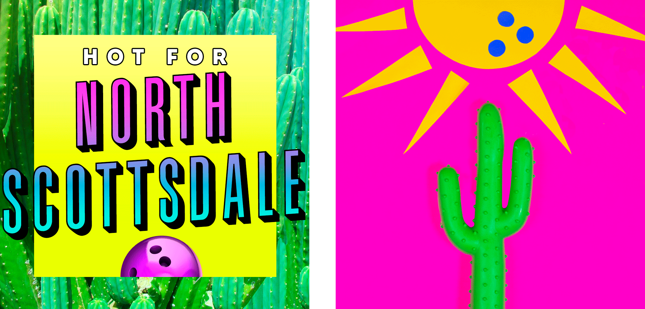 NScottsdale_Cactus.gif