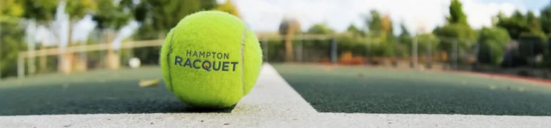 Hampton Racquet BALL-WITH-LOGO-wide crop.jpg