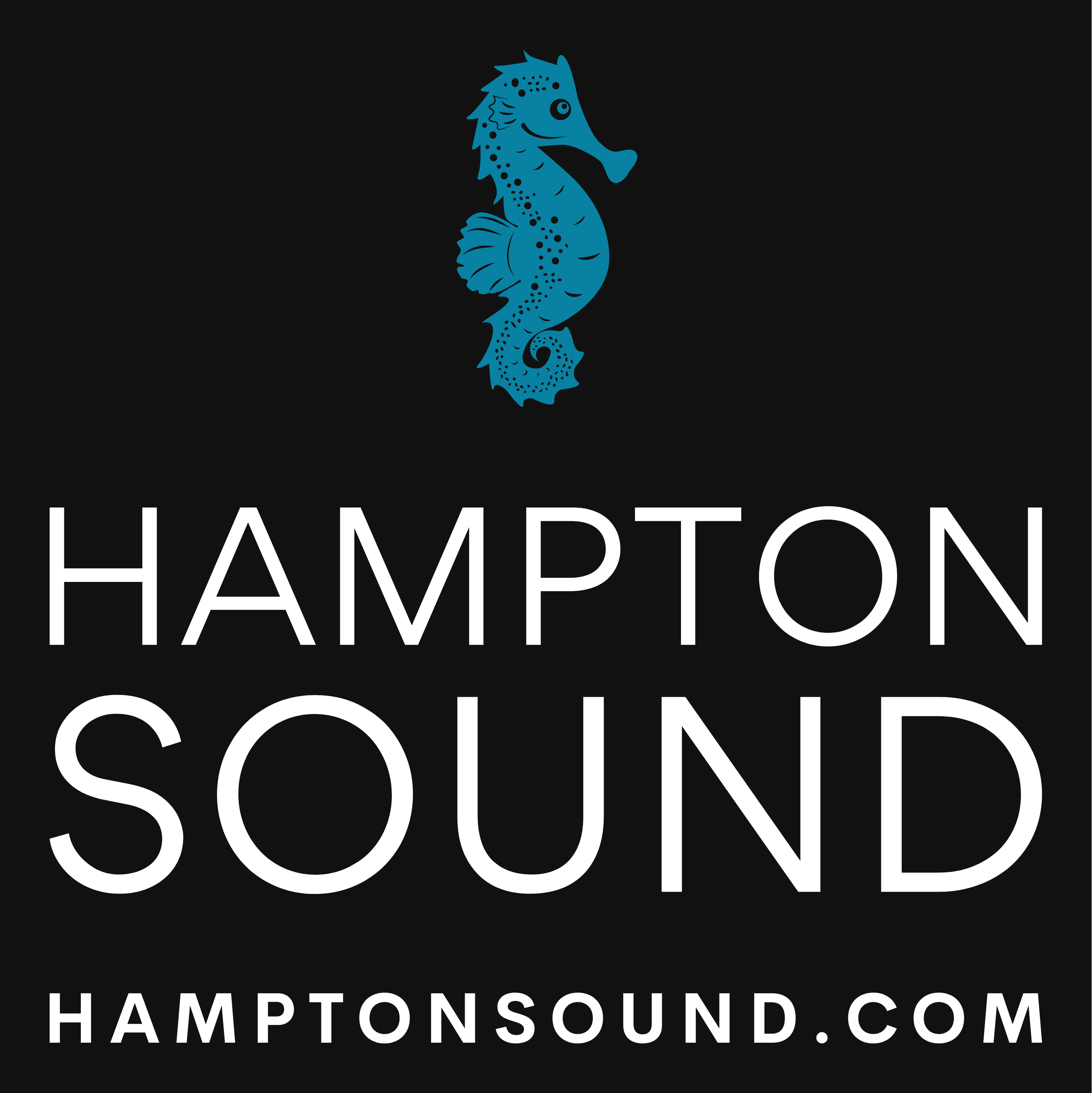 Hampton Sound Color logo with background.png