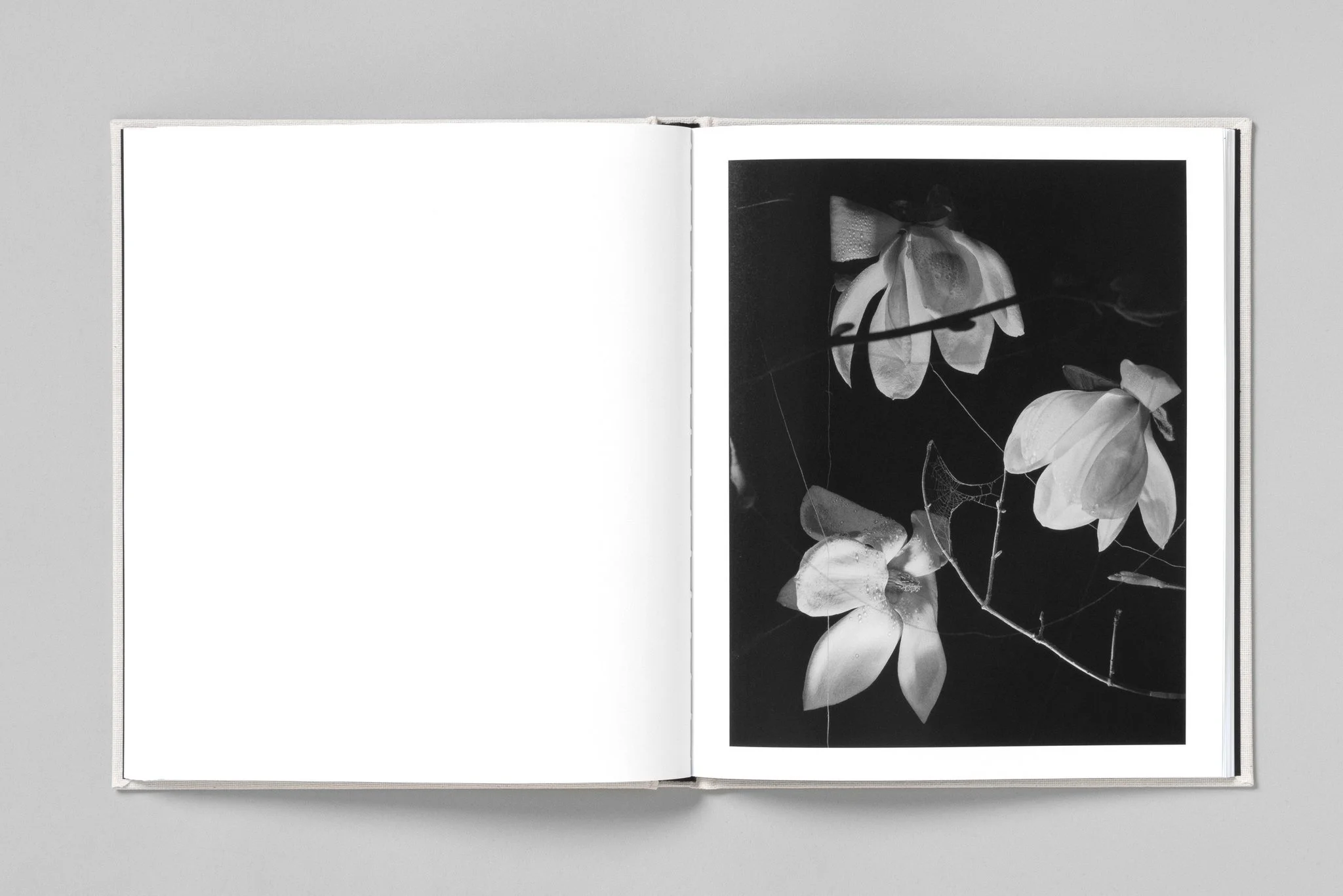 Paul Guilmoth spread 1.jpg
