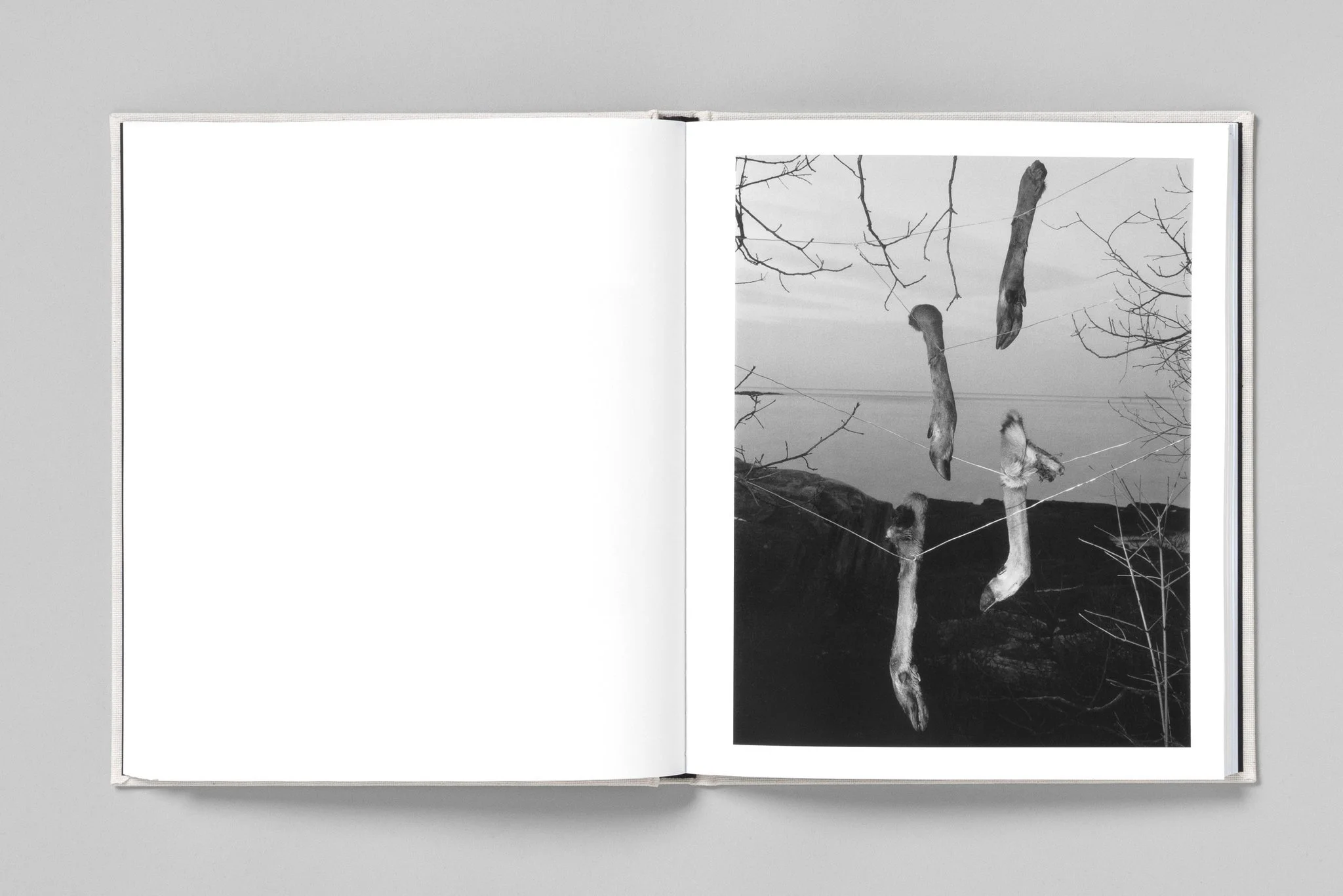 Paul Guilmoth spread 3.jpg