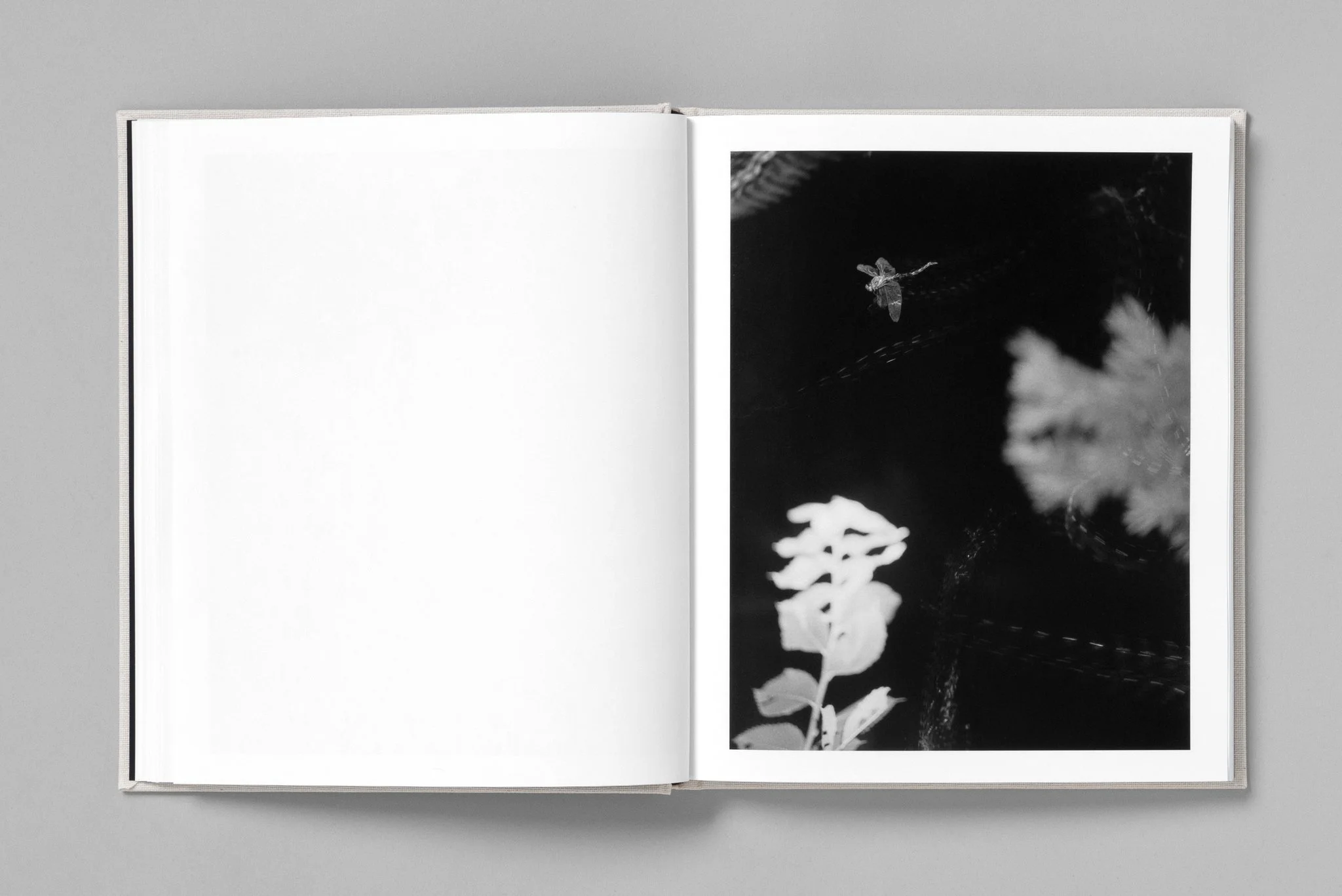 Paul Guilmoth spread 8.jpg