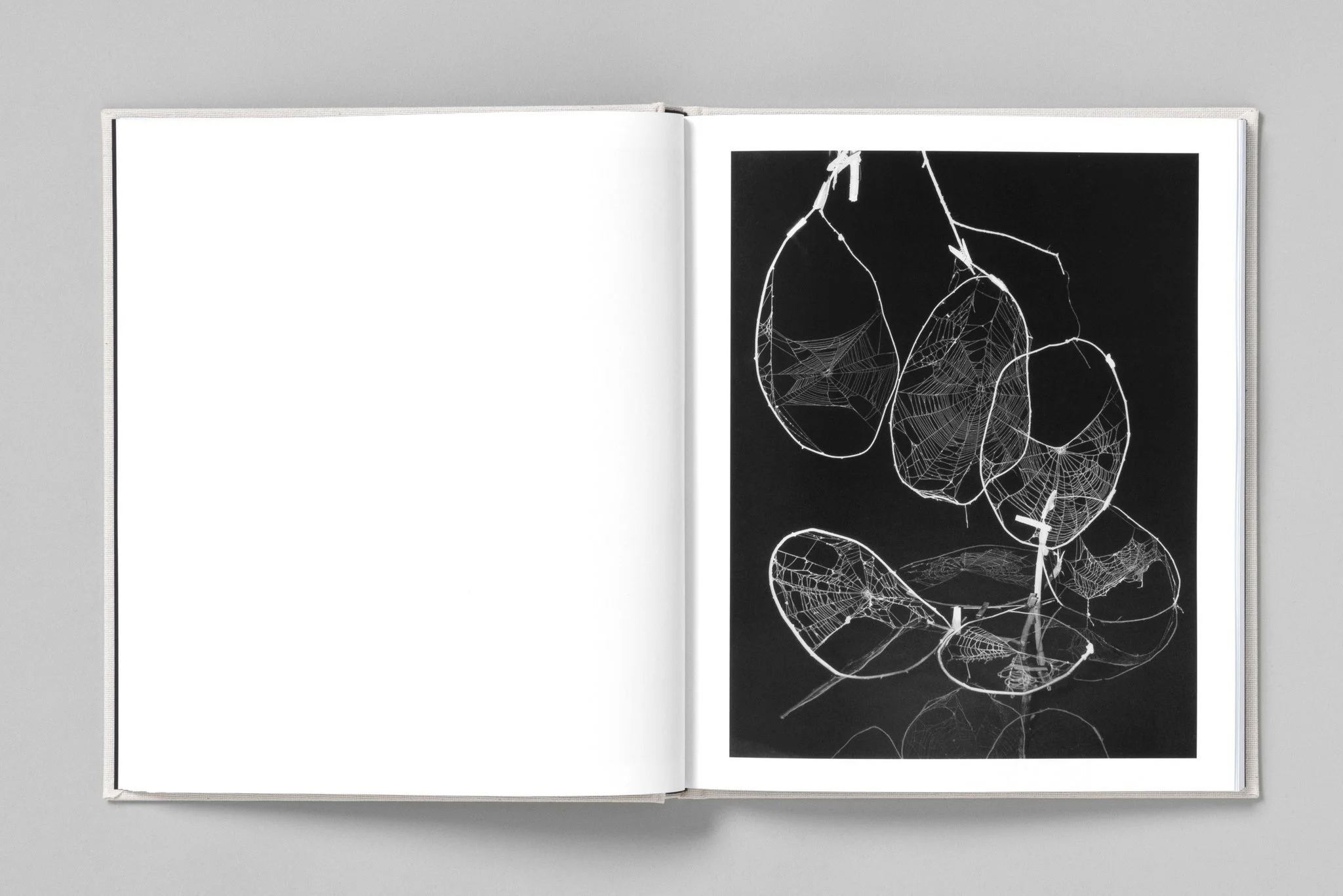 Paul Guilmoth spread 13.jpg