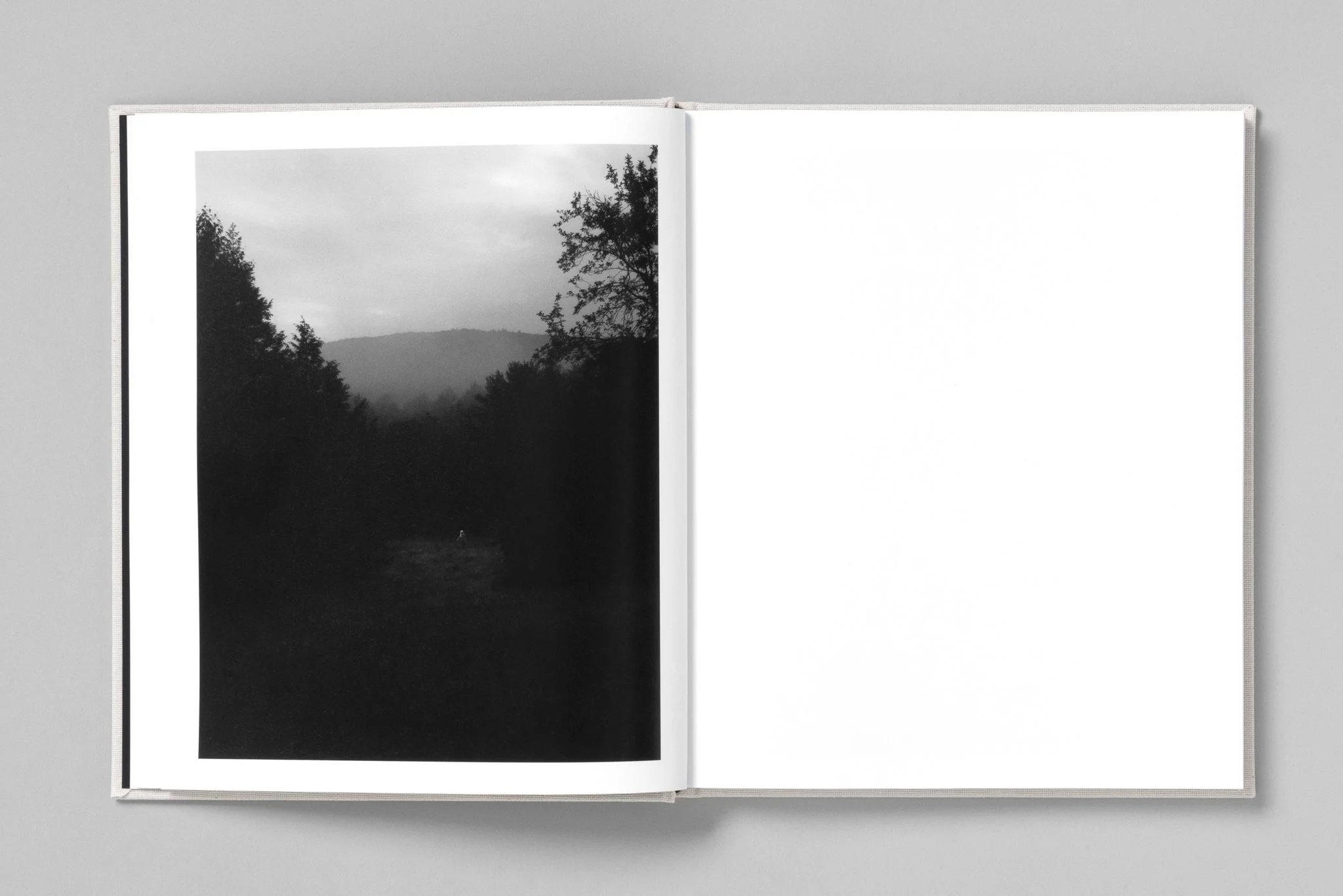 Paul Guilmoth spread 11.jpg