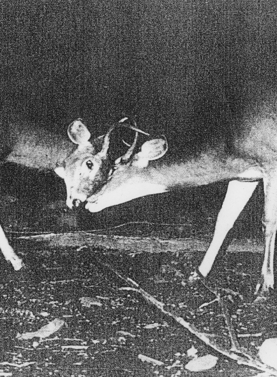 Screenshot 2025-12-05 at 1.43.57 PM.png