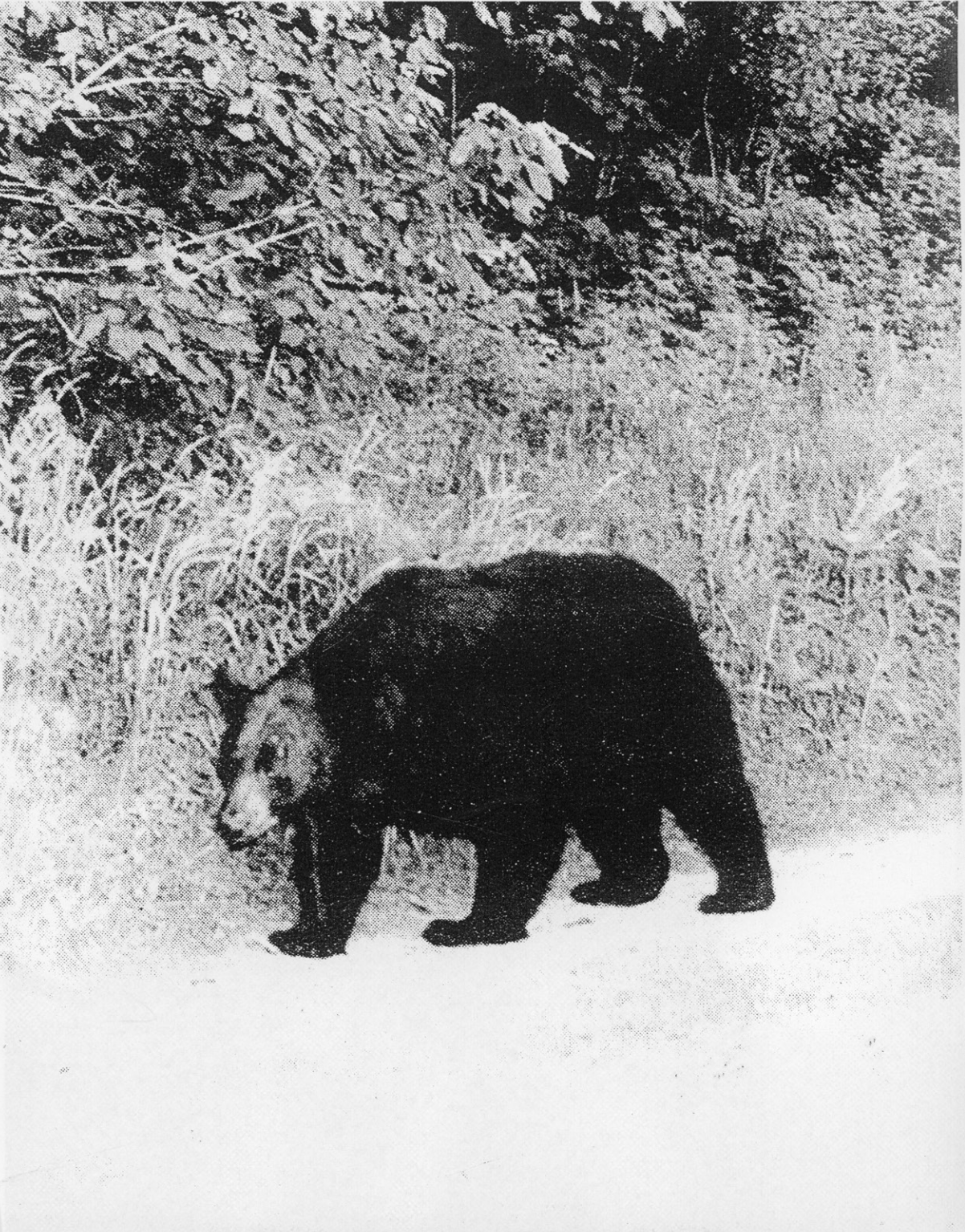 Screenshot 2025-12-05 at 1.44.10 PM.png