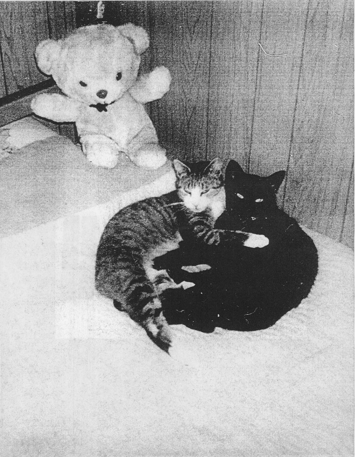 Screenshot 2025-12-05 at 1.45.06 PM.png