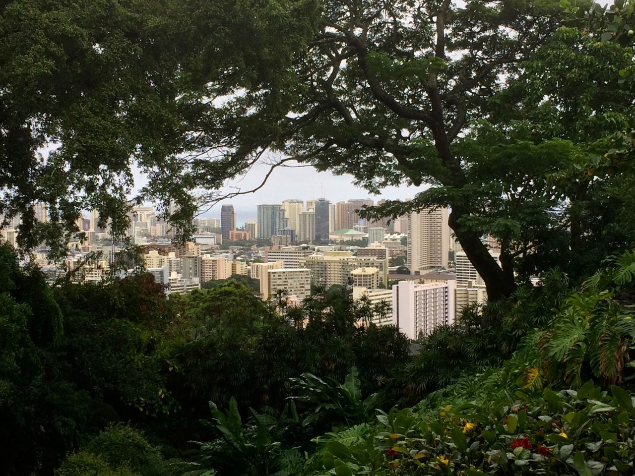 Waikiki1.jpg