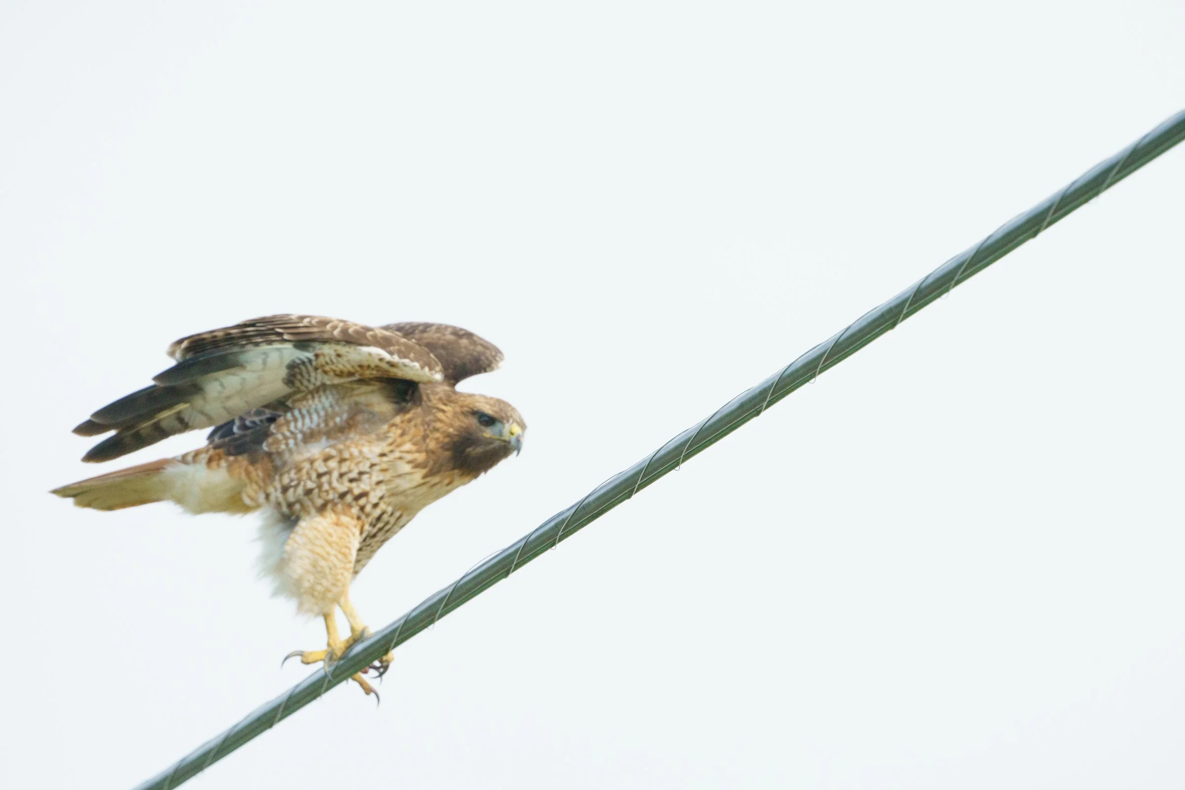 Testing adding a post