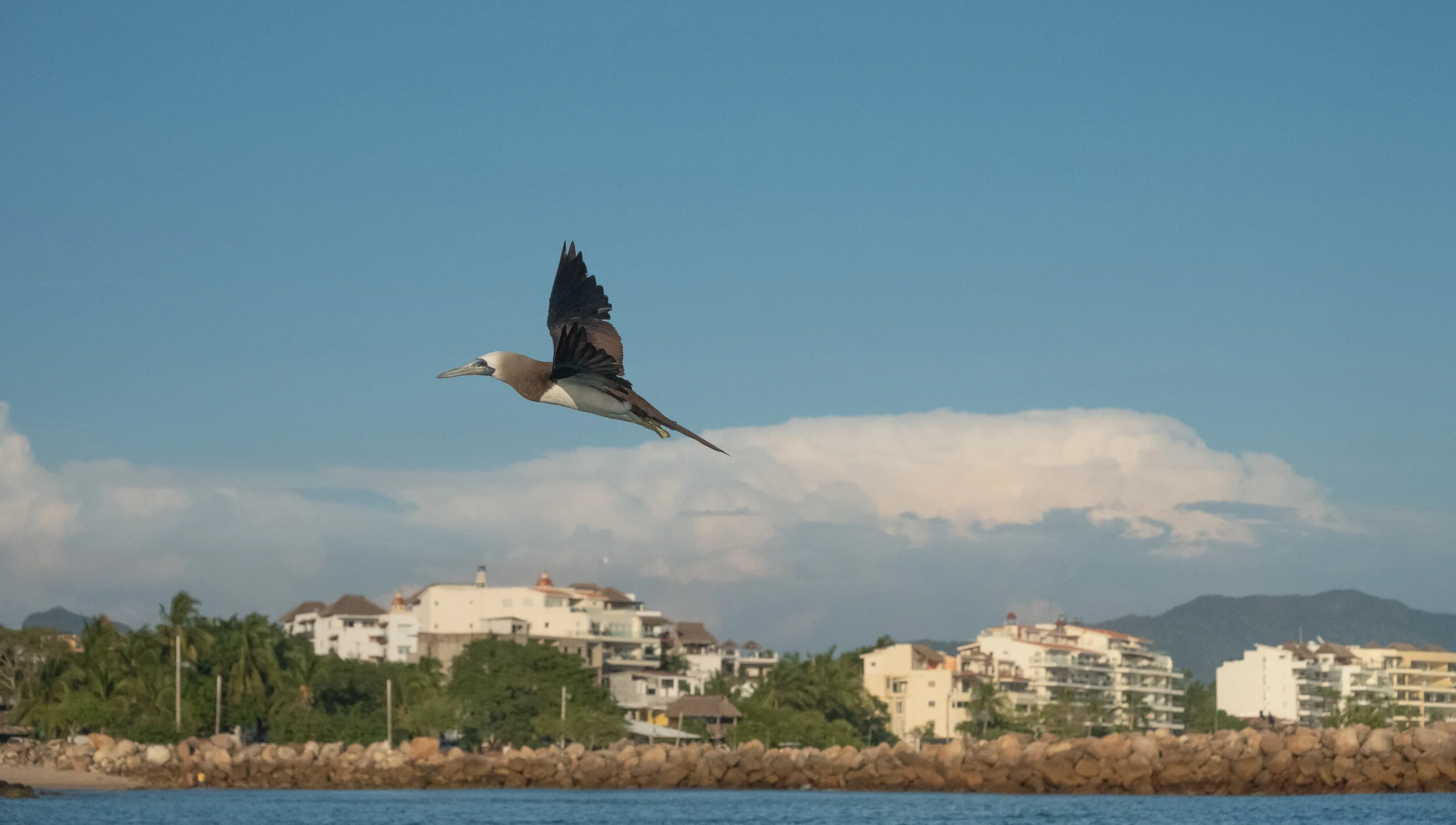 Punta de Mita