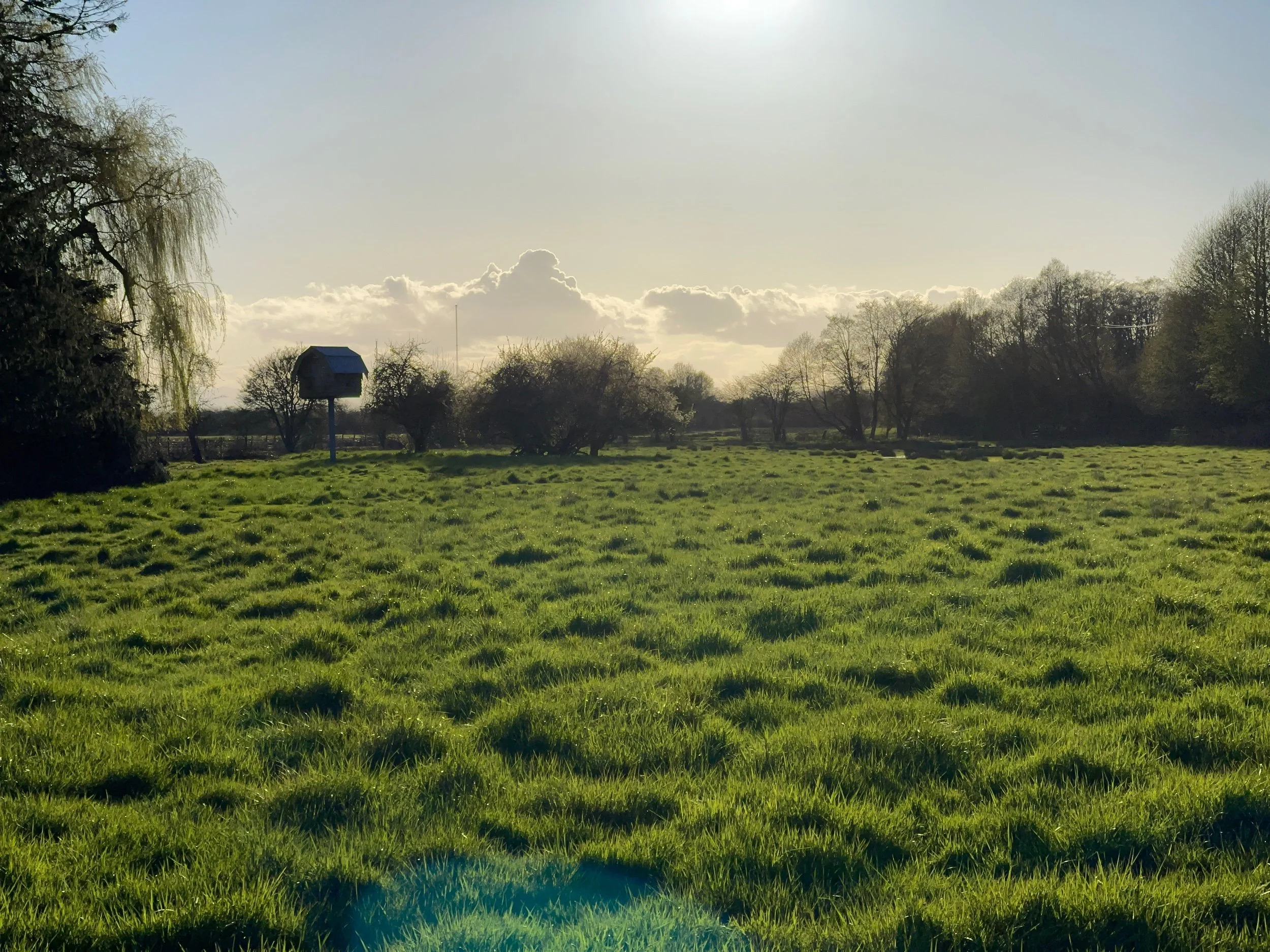 Hanging close to Rifle bird sanctuary