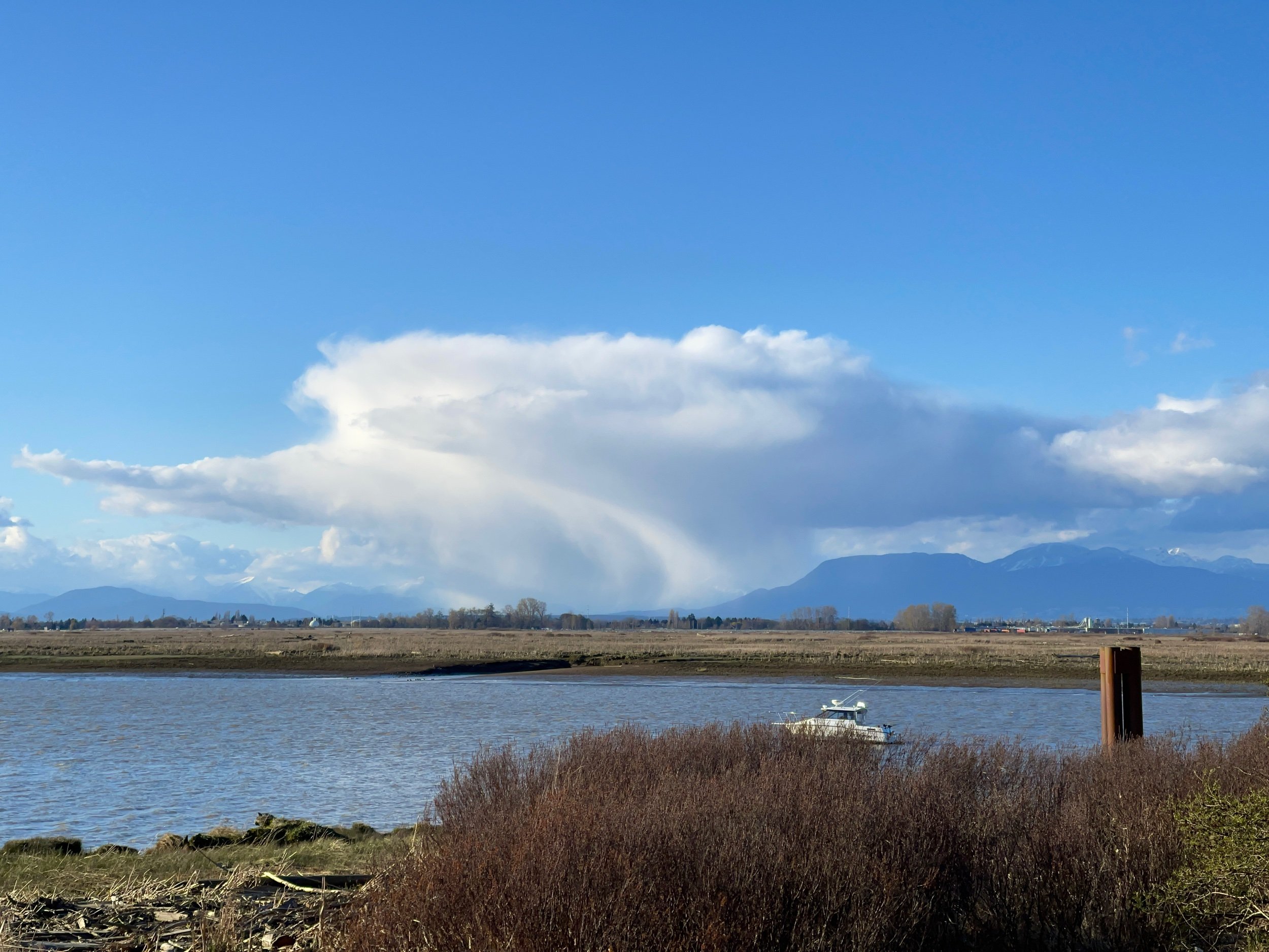 Here is to unique weather in Vancouver.