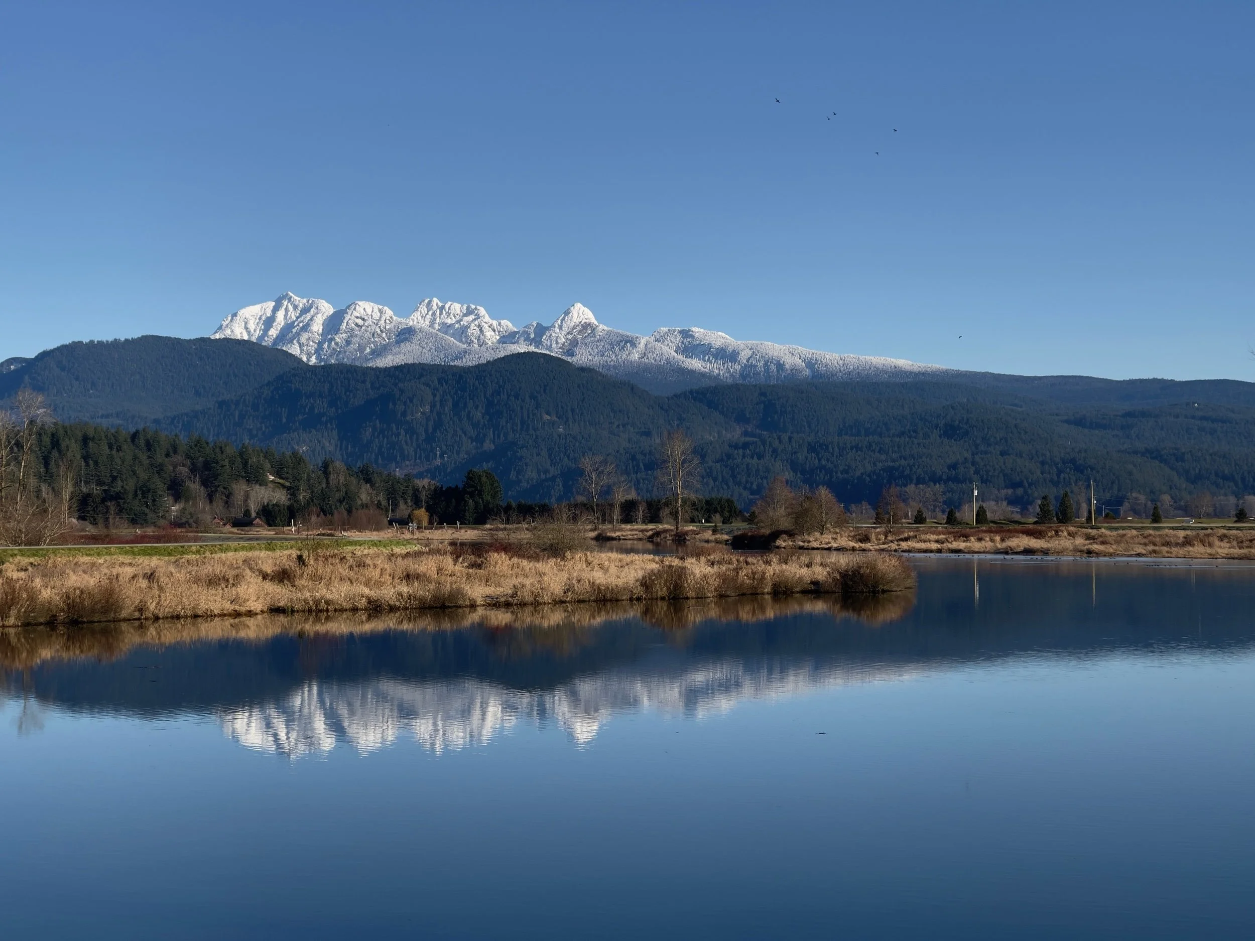 Reflections