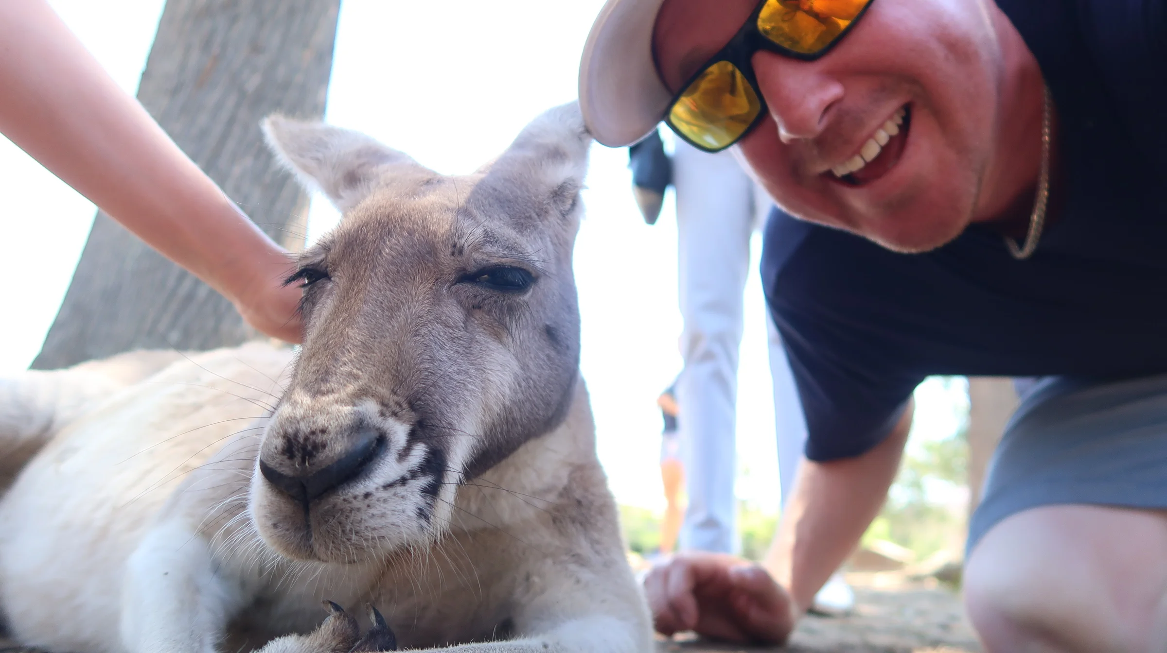 2016 Video Rewind - Tourists In Brisbane