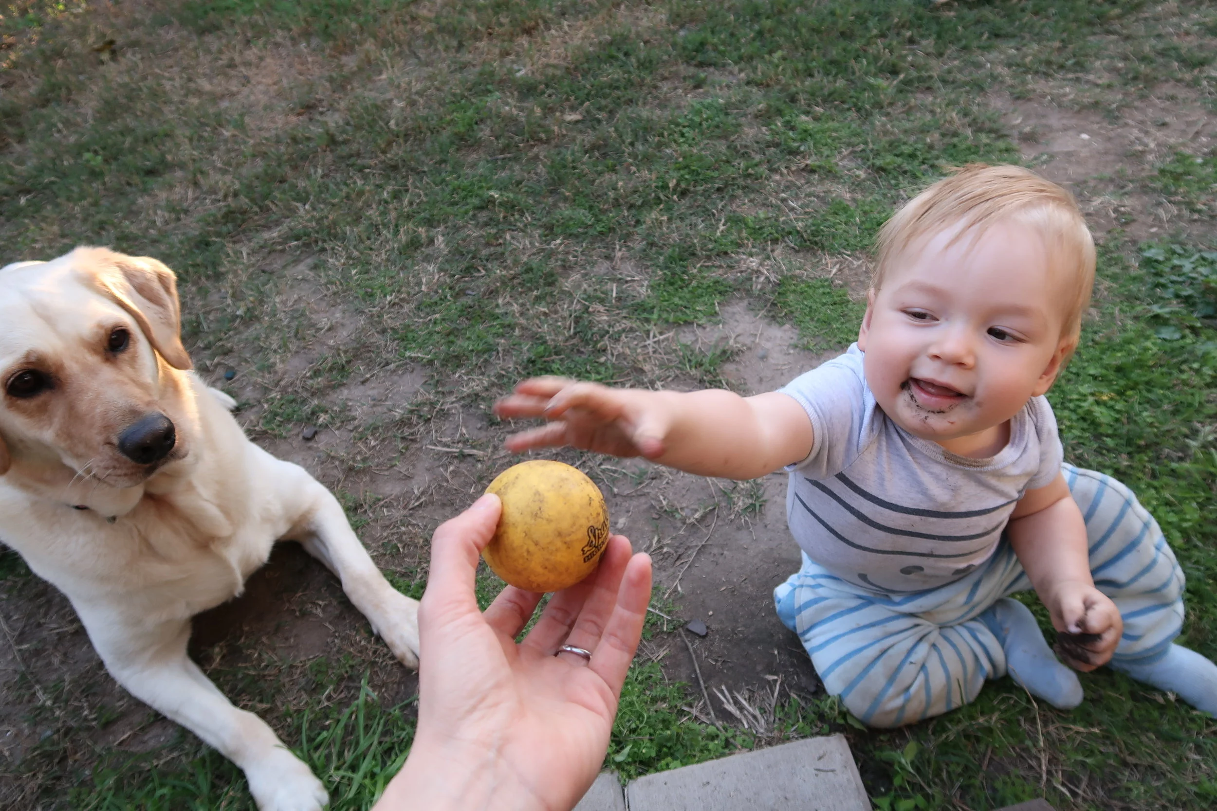 2016 Video Rewind - The Green Heart Fair