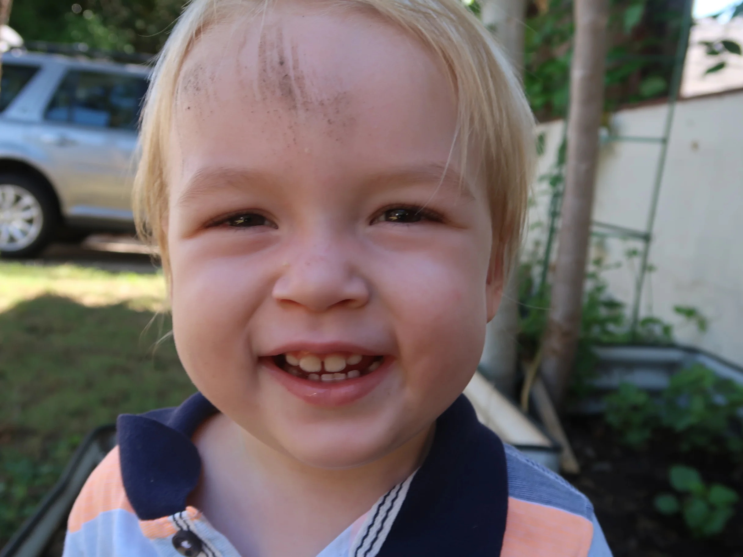 Max in the garden.jpg