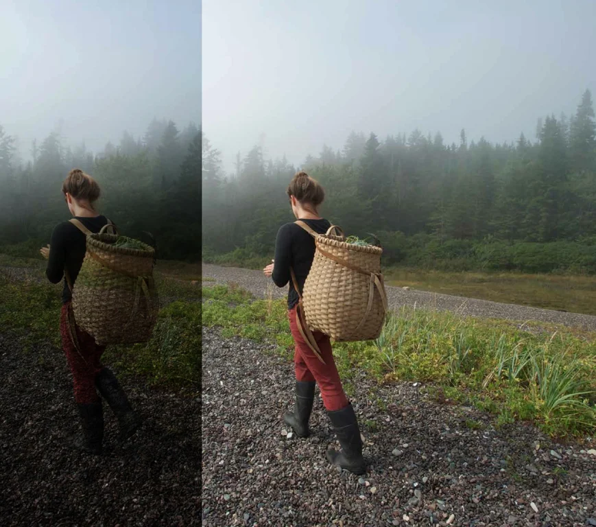 Nature Project 2009 - 2018