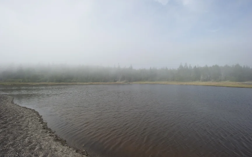 Nature Project 2009 - 2018