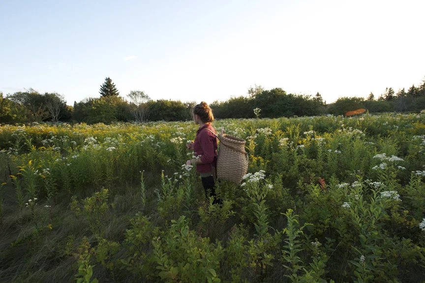 Nature Project 2009 - 2018