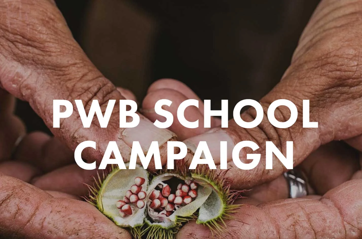 photographerswithoutborders_pwb-school-campaign.jpg