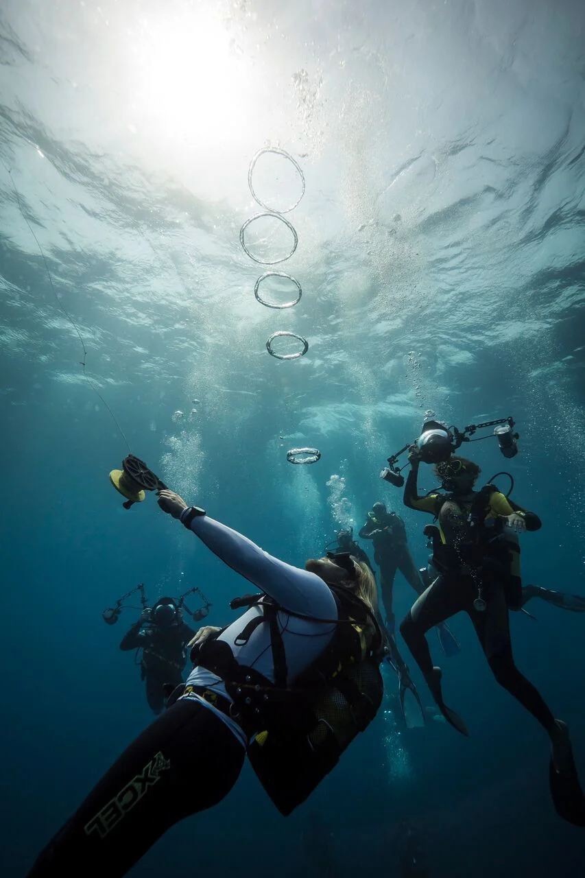 More than Photographers: PWB celebrates our top photographers of 2016/17