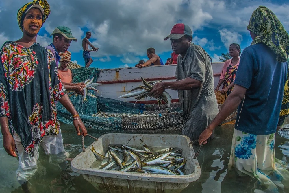 A GROUP OF FISHERMEN HAUL IN THE DAY'S CATCH IN MADAGASCAR. PHOTO: CRISTINA MITTERMEIER.