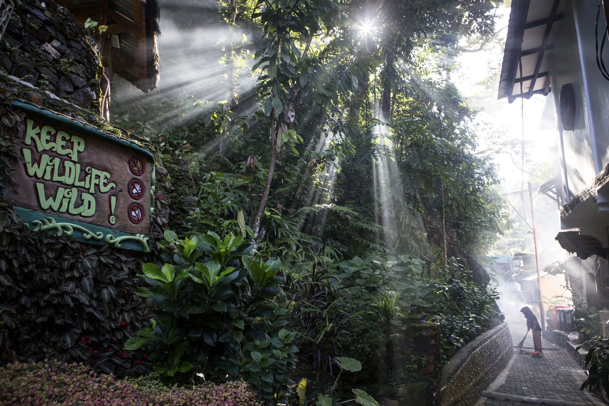 Bukit Lawang, Sumatra. PHOTO: Matt Stirn