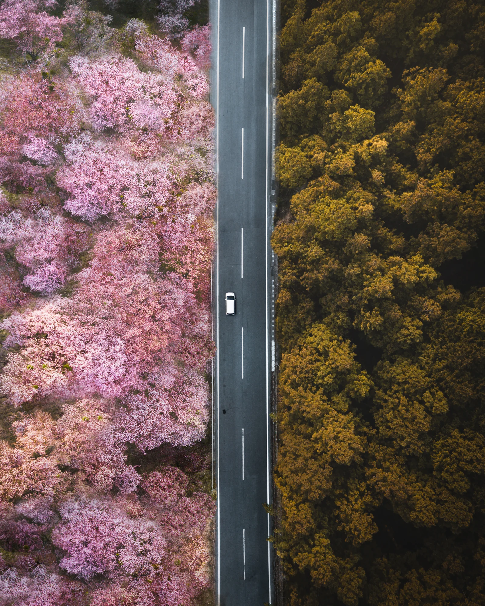 PHOTO: Jordan Hammond