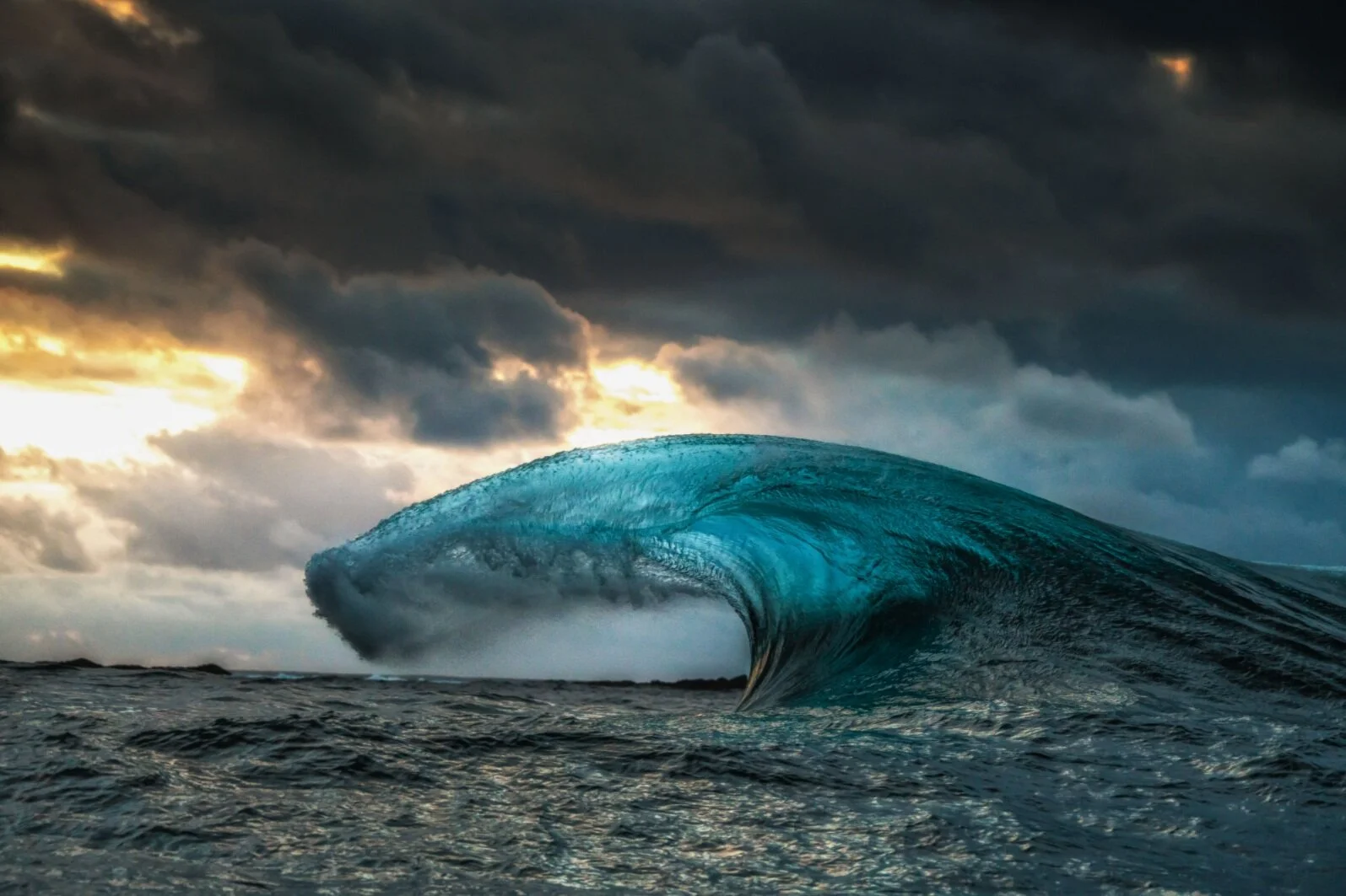 Diving Into Conservation Photography With National Geographic's Andy Mann