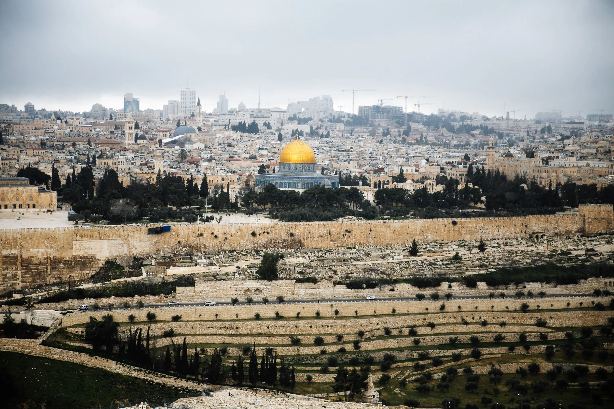 In Solidarity with Palestine: Standing Up to Israel