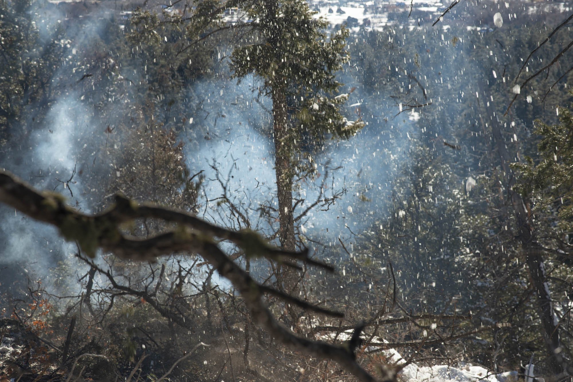   Snow and branches shatter and scatter in the smoke as a pine is felled.  