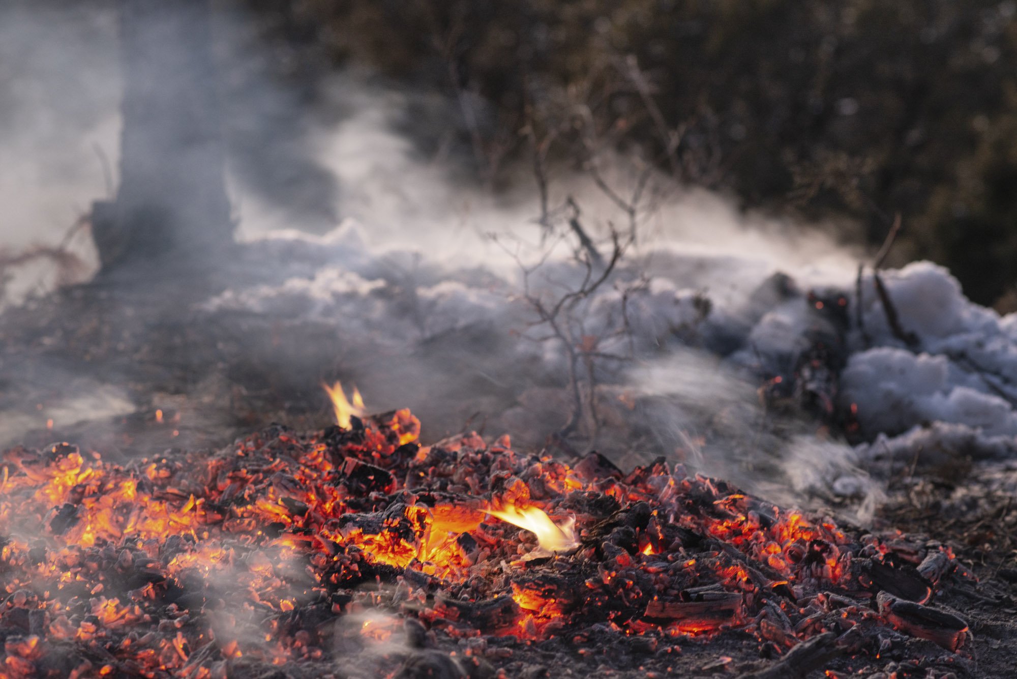   Glowing coals from a controlled burn cause snow to steam.  